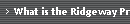 What is the Ridgeway Process