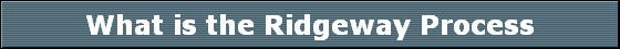 What is the Ridgeway Process