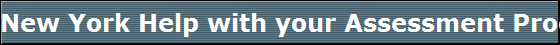 New York Help with your Assessment Process to get Adaptive Technology
