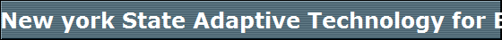 New york State Adaptive Technology for Blind and Visually Impaired users 
