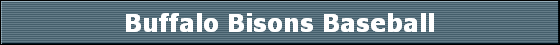 Buffalo Bisons Baseball