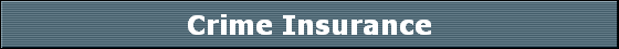 Crime Insurance