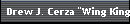 Drew J. Cerza 