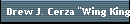 Drew J. Cerza 