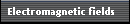Electromagnetic fields 