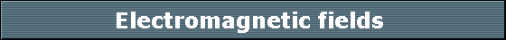 Electromagnetic fields 