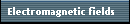 Electromagnetic fields 