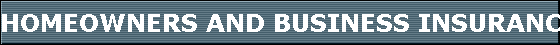 HOMEOWNERS AND BUSINESS INSURANCE SERIES