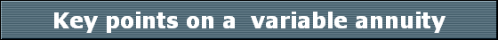 Key points on a  variable annuity
