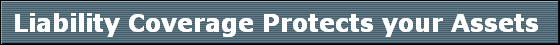 Liability Coverage Protects your Assets 
