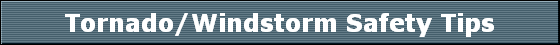 Tornado/Windstorm Safety Tips
