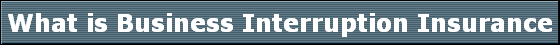 What is Business Interruption Insurance