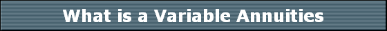 What is a Variable Annuities