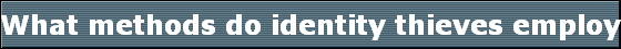 What methods do identity thieves employ?